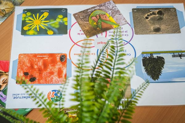 Vision board d'un atelier ikigai chez Soimêmitude - Laurent Blanchard - Coaching ikigai - trouver sa raison d'être et sa mission de vie